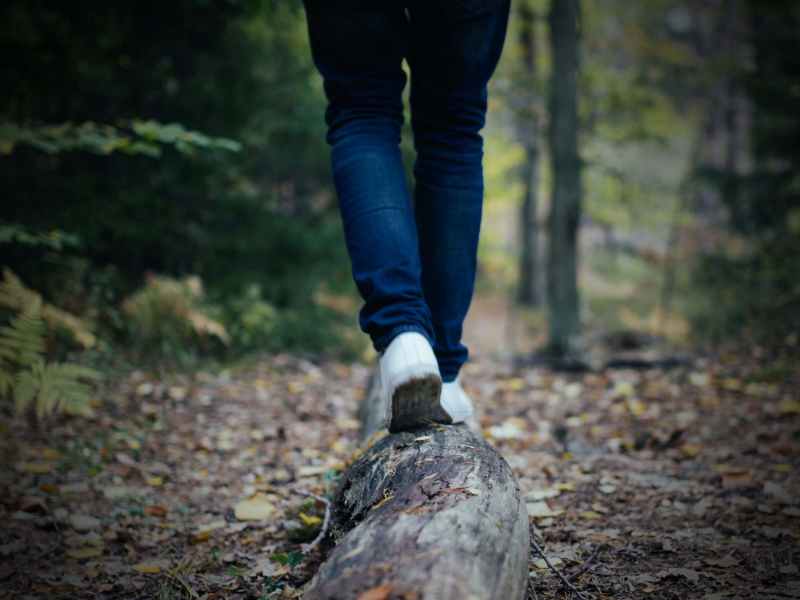 Sounds of Footsteps in Nature and Light Rain to Clear the Mind and Relax (Single)