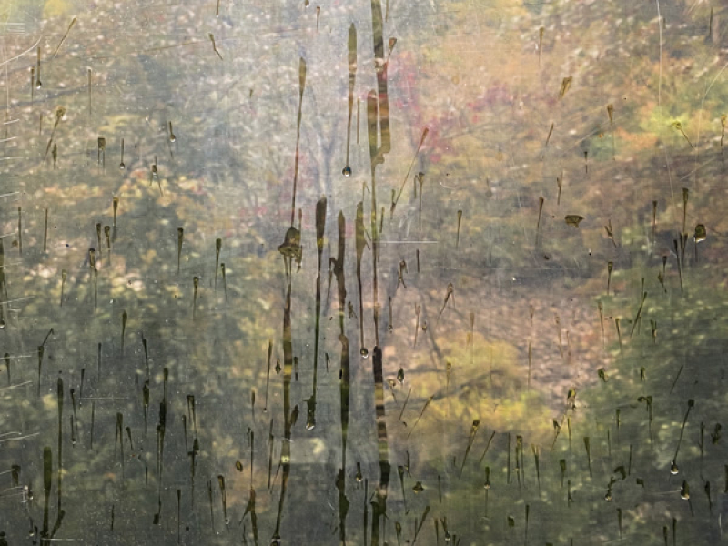 Nicer (Acoustic) (Single)