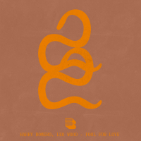 Fool For Love (Single)