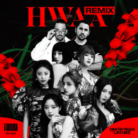 HWAA (Dimitri Vegas & Like Mike Remix) (Single)