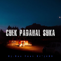 Cuek Padahal Suka (Single)