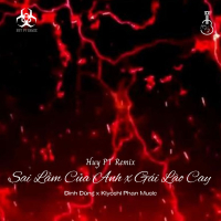 Sai Lầm Của Anh x Gái Lào Cay (Huy PT Remix) (Single)