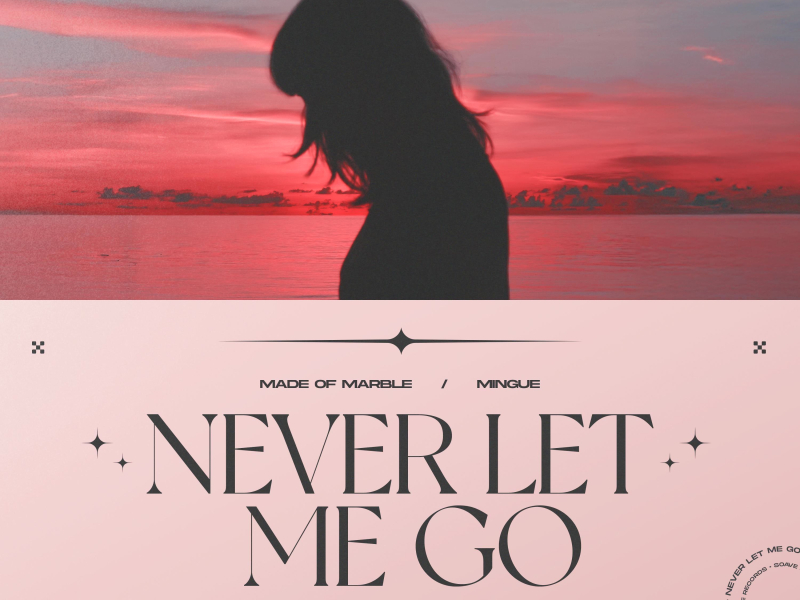 Never Let Me Go (Single)