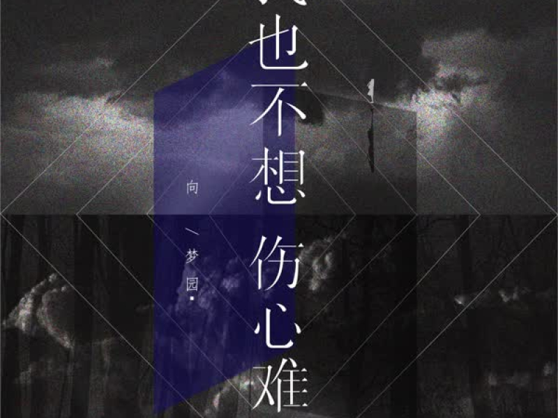 我也不想伤心难过 (Single)