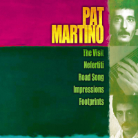 Giants Of Jazz: Pat Martino