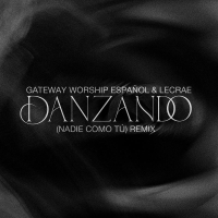Danzando (Nadie Como Tú) (Remix) (Single)