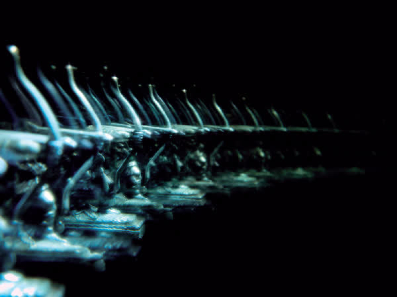 Snow at High Tide (Single)