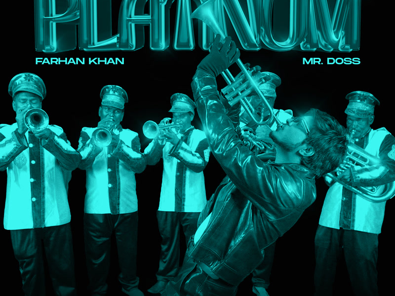 Platinum (Lofi Remix) (Single)