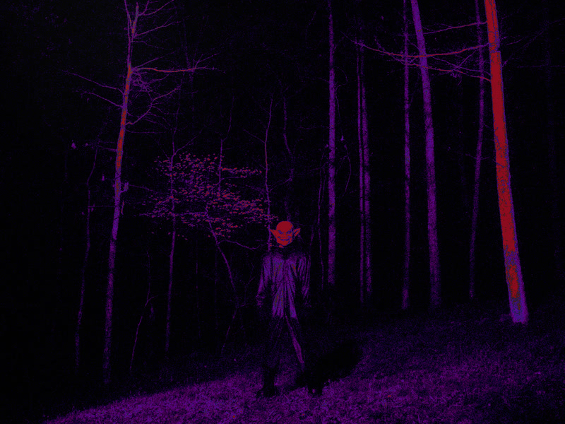 If Looks Could Kill (Directors Cut)