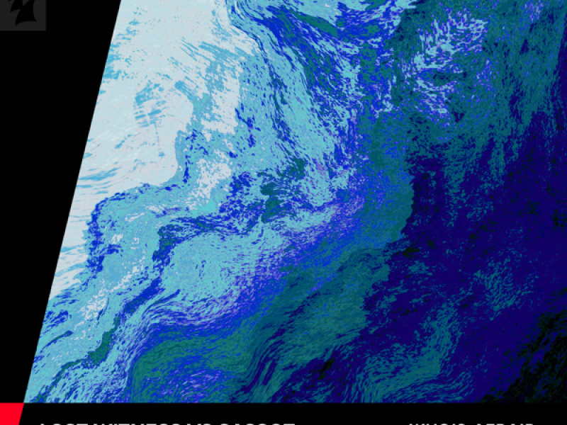 Whatever (FAWZY Remix) (Single)