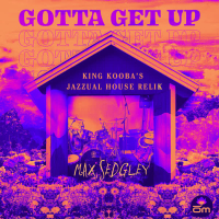 Gotta Get Up (King Kooba's Jazzual House Relik) (Single)