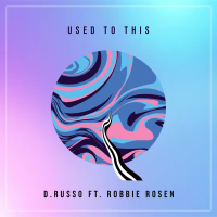 Used to This (Single)