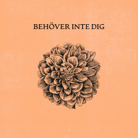 Behöver inte dig (Single)