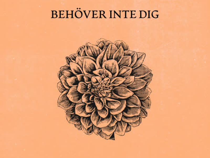 Behöver inte dig (Single)