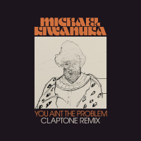 You Ain't The Problem (Claptone Remix) (Single)