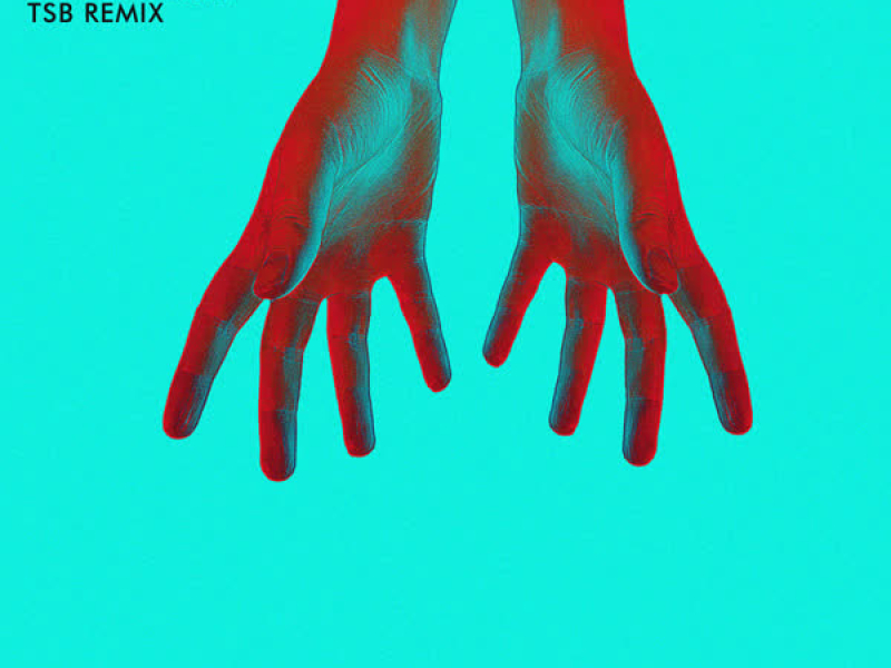 Give It To Me (TSB Remix) (Single)