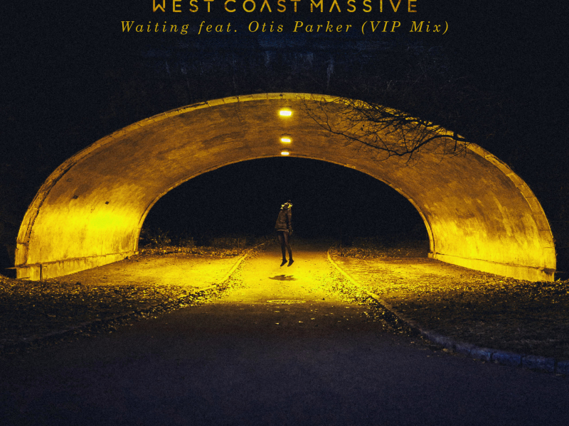 Waiting (feat. Otis Parker) - VIP Mix (Single)