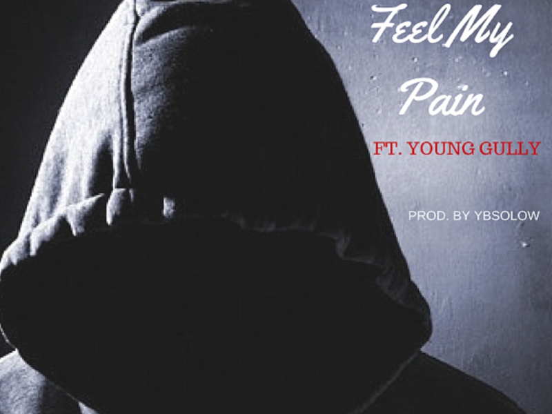 Feel My Pain (feat. Young Gully) (Single)
