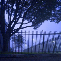 just a dream (Single)