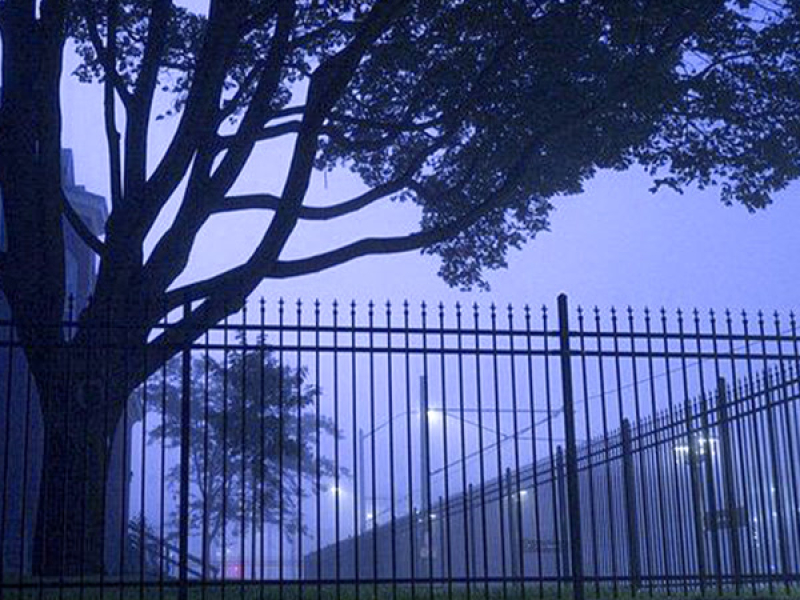 just a dream (Single)