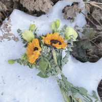 缓慢飞行 (Single)