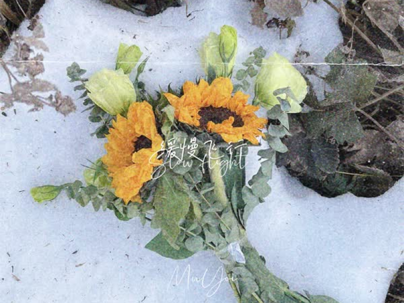 缓慢飞行 (Single)