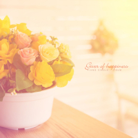 A Person Who Gives Happiness (Single)