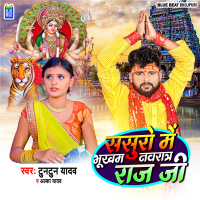 Sasuro Me Bhukham Navratra Raja Ji (Single)