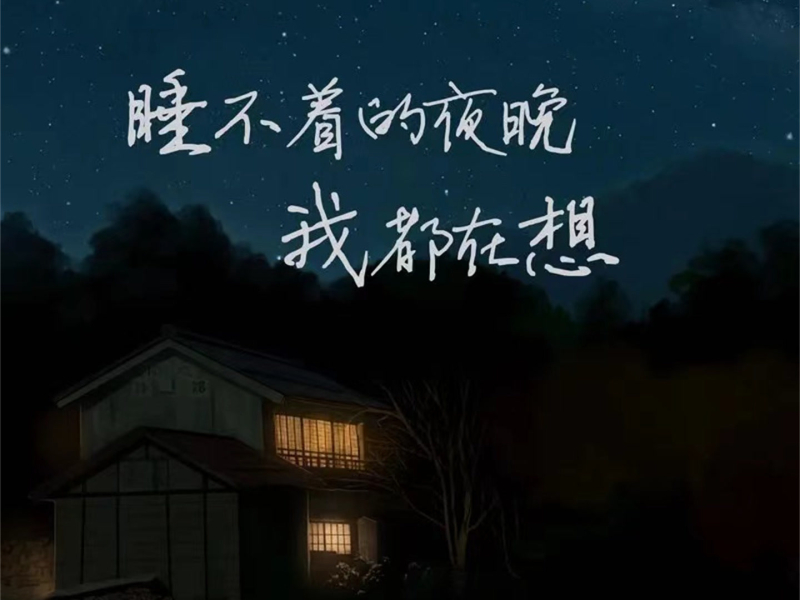 睡不着的夜晚我都在想 (女版) (Single)