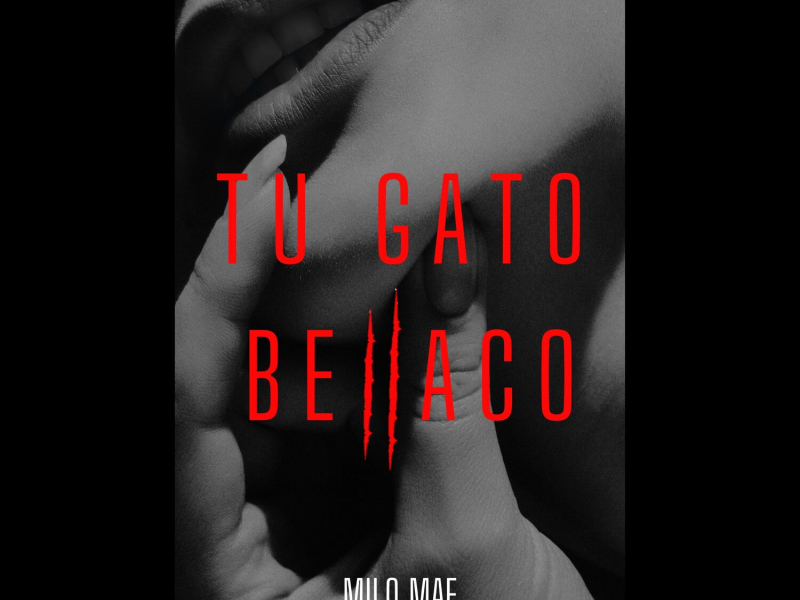 Tu Gato Bellaco (Single)