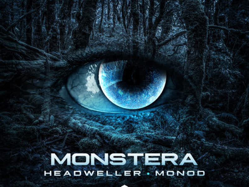 Monstera (Single)