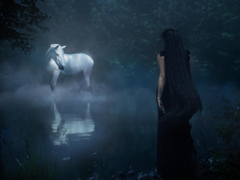 New Country (Single)