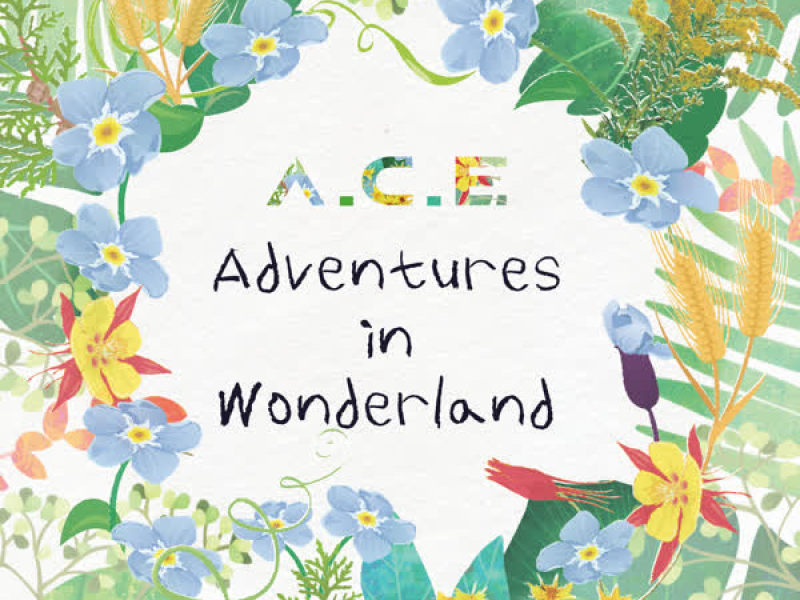 A.C.E Adventures in Wonderland