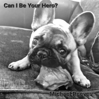 Can I Be Your Hero? (Single)