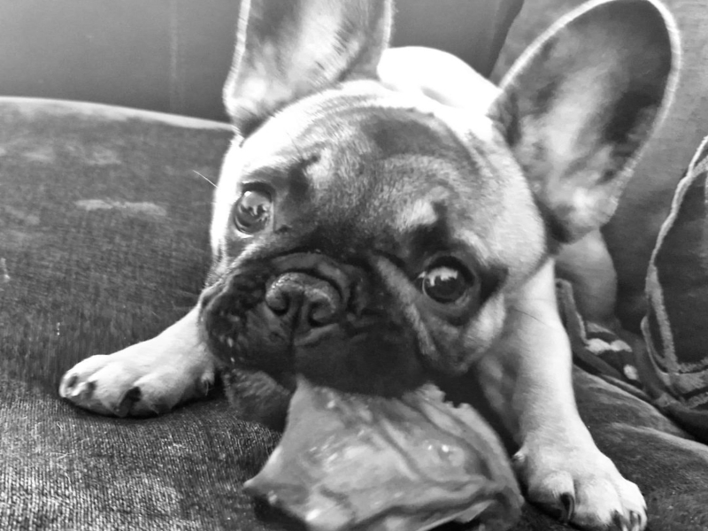 Can I Be Your Hero? (Single)