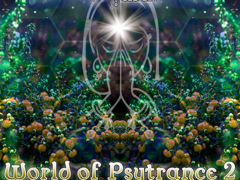 World Of Psytrance 2