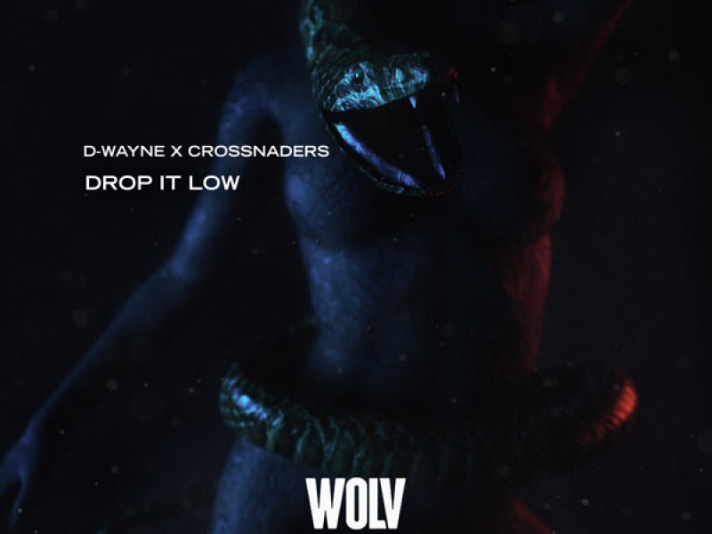 Drop It Low (Single)