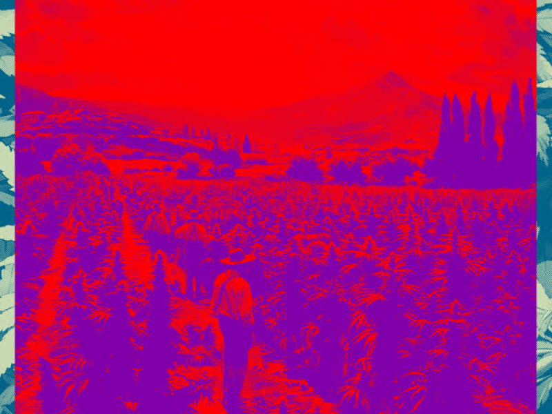 ONDA FORTE (Ao Vivo) (Single)