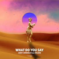 What Do You Say (Single)