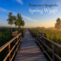 Spring Wings (Single)