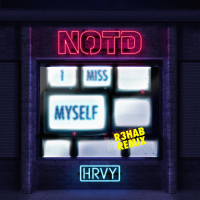 I Miss Myself (R3HAB Remix) (Single)
