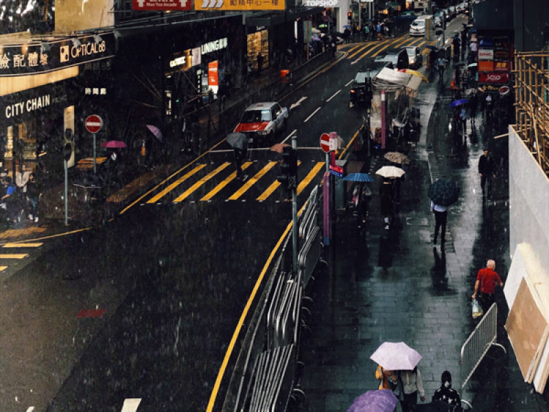 Tai Ping Shan (Single)