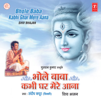 Bhole Baba Kabhi Ghar Mere Aana (Single)