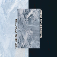 Niemand auf meinem Level (Single)