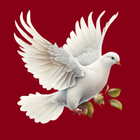 Chúng Tôi Muốn Hòa Bình (Single)