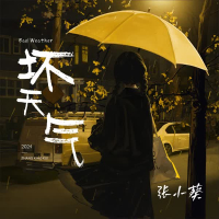 坏天气 (Single)