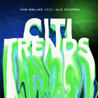Citi Trends (Single)