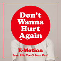 Don't Wanna Hurt Again (feat. Elle Vee & Sean Paul) (Single)