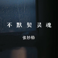 不默契灵魂 (Single)