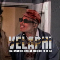 Velaphi (Single)